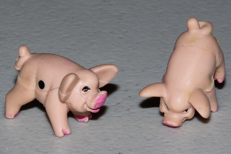 Pass the Pigs